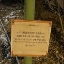 풍천팔팔장어 | 청주 장어 맛집 용암동 최가네풍천민물장어 울대찌개 후기