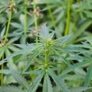 그린동물병원 이미지