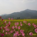 허수아비 이미지