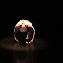 진짜배기 이미지