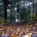 광교산한의원 이미지