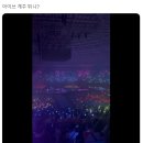 리버스 임영웅 콘서트 풍경이라는 아이브 콘서트 풍경ㅋㅋㅋㅋㅋㅋㅋㅋ 이미지