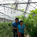 쑤니네 농장 이미지