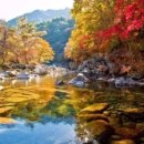 JIRI VALLEY Daum카페