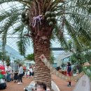 우남농장 이미지