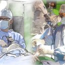 인천마디병원 이미지