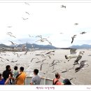 외포리선착장 이미지