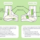모아한의원 이미지