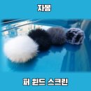자몽스크린