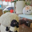 카페글로어전대 | [전대정문 카페] 당일 생산 수제 도넛이 가득한 카페 글로어 전대정문점 방문 후기