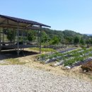 용추민박 이미지