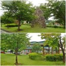 남곡경로당 이미지