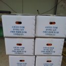 김내용농장 이미지