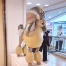 이마트 죽전점 몰리스 이미지