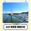 탑정호출렁다리 | 충남 논산 탑정호 출렁다리 주차 입장료 다리길이 아이랑 나들이 방문 후기