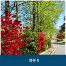 덕유산자연사랑요양병원 | 덕유산자연사랑요양병원 &#39;호텔? 요양병원?&#39;
