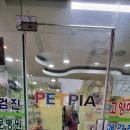 펫피아 동물병원 이미지