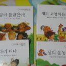 동아카시트 이미지