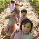 솔빛공원 1 이미지