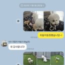 101애견유치원 이미지