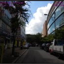 새미래트윈스 이미지