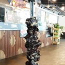 리오그릴 이미지