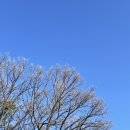 맘스터치서원대점 이미지