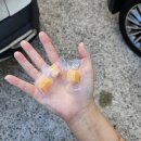 타이어프로도계점 이미지