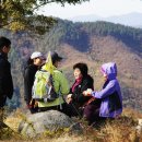 분당-219 이미지