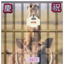 5.18단체에 사과하러갔다가 문전박대당한 신세계 부사장 n 해명(=변명?) 이미지