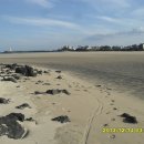 해비치목장 이미지