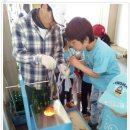 충주대림초등학교 이미지