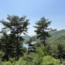 세종대왕태실 주차장 네이버블로그