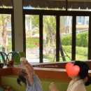 월드키즈수영장 | [베트남] 18개월 아기랑 푸꾸옥 여행🏊🏻‍♀️ 뉴월드 수영장, 키즈클럽 후기