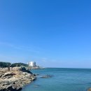 해동펫