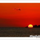 용유해변 이미지