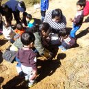 지니어스숲어린이집 이미지