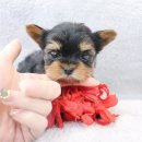 이아이앤테리어 이미지