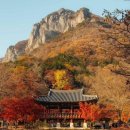 한국의 미