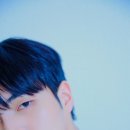 태우