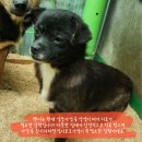 벤지