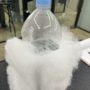 엄지애견미용 이미지