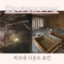 하코네 시운소 후기 - 하코네 4인 료칸 추천 도쿄 인근 료칸