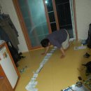 나진도 민박 Daum카페