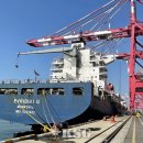 주)씨랜드 이미지