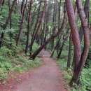 팔공산 하늘정원 이미지