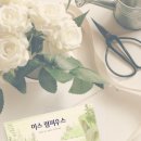 릴라 바바라 이미지