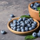 블루베리 이미지