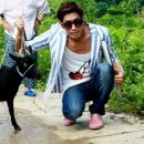 밀양흑염소 이미지