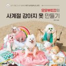 강아지 옷 만들기 이미지